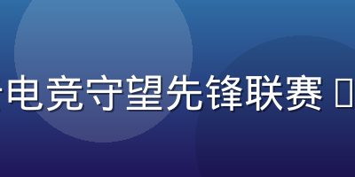 开云电竞守望先锋联赛OWL